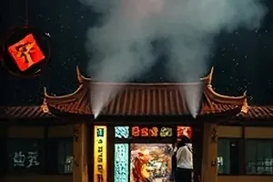 候鸟停靠站短片封面，湿地浅滩上成群的候鸟起飞